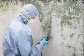 Best Mold Remediation for Healthcare Facilities  in Larksville, PA